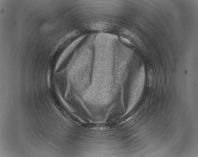 X0000067400404200604211704
