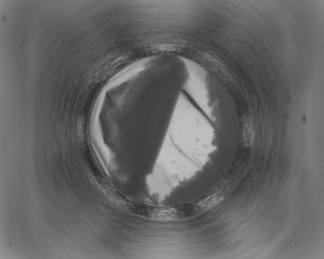 X0000067400410200604211704