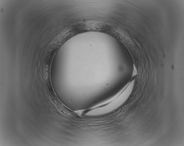 X0000067400413200604211704