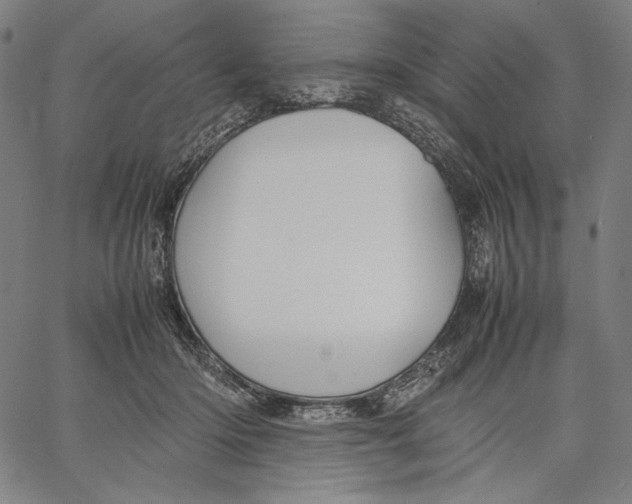 X0000067400414200604211704