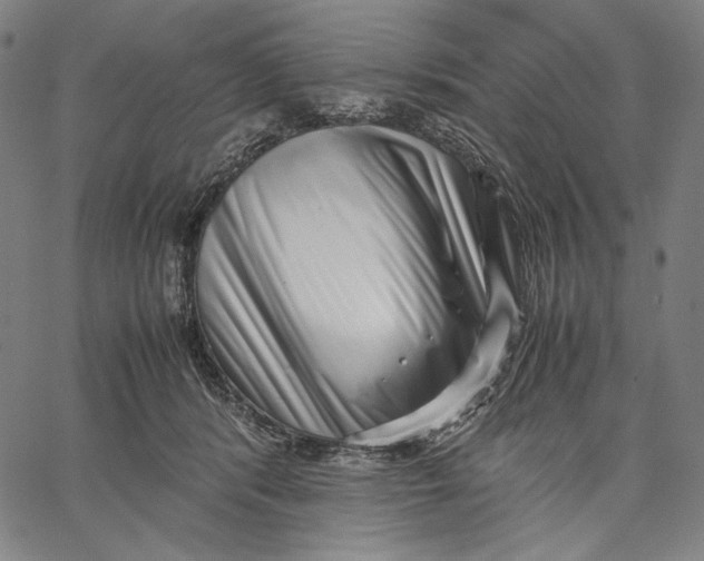 X0000067400416200604211704