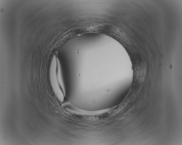 X0000067400421200604211704