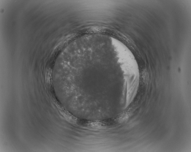 X0000067400423200604211704