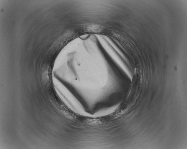X0000067400424200604211704