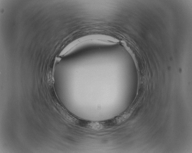 X0000067400425200604211704