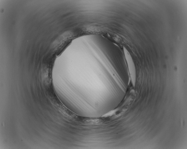 X0000067400428200604211704
