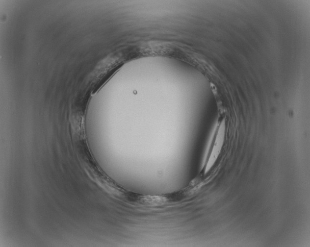 X0000067400429200604211704