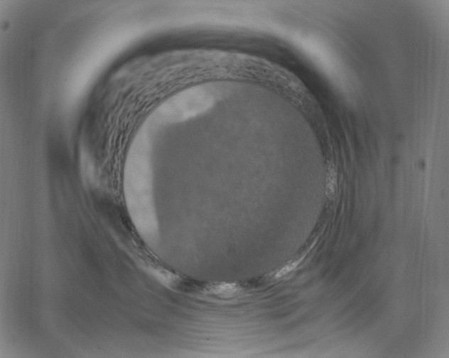 X0000067400431200604211703