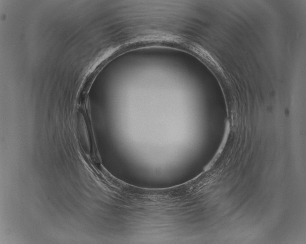 X0000067400436200604211703