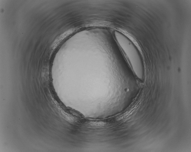 X0000067400437200604211703
