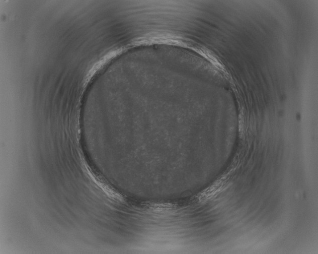 X0000067400438200604211703