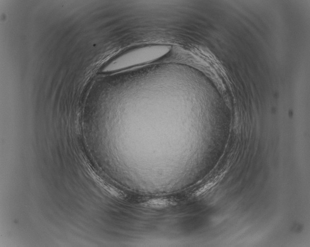 X0000067400441200604211703