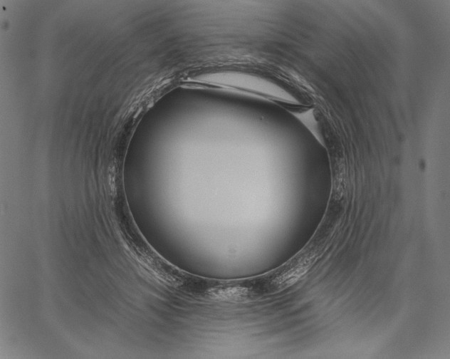 X0000067400452200604211703