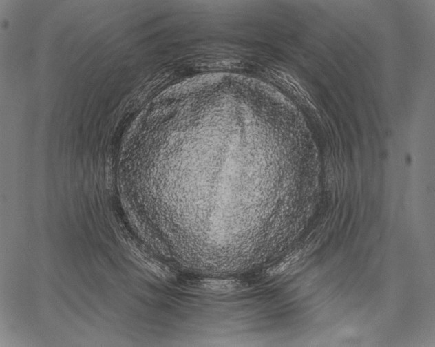 X0000067400457200604211703