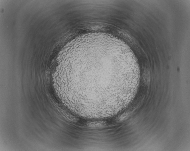 X0000067400461200604211703