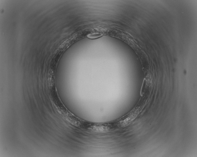X0000067400464200604211703