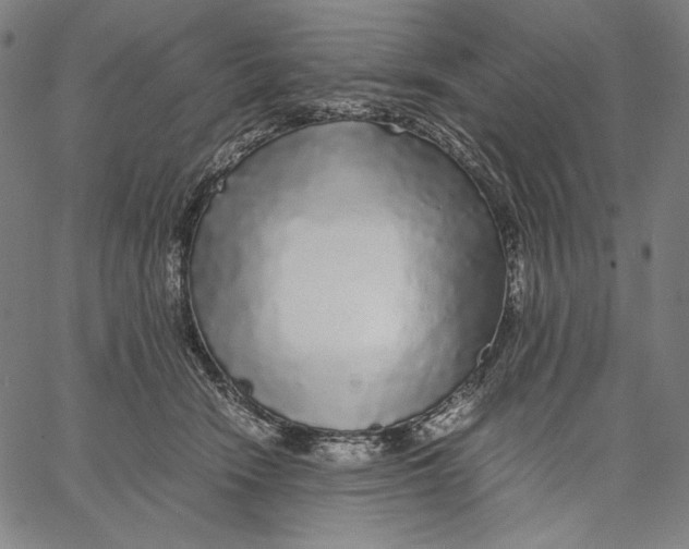 X0000067400466200604211703