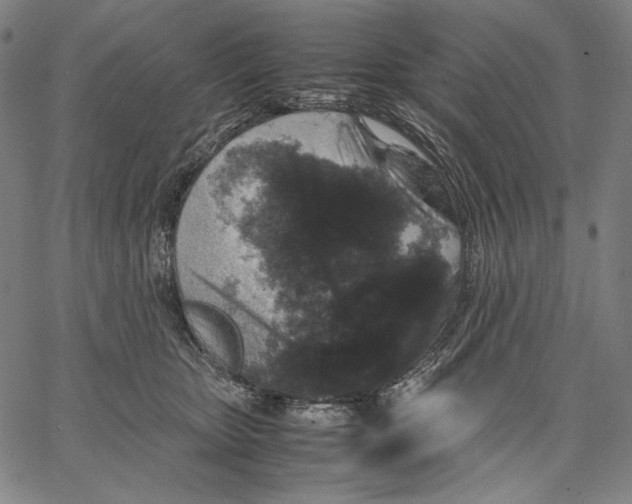 X0000067400467200604211703