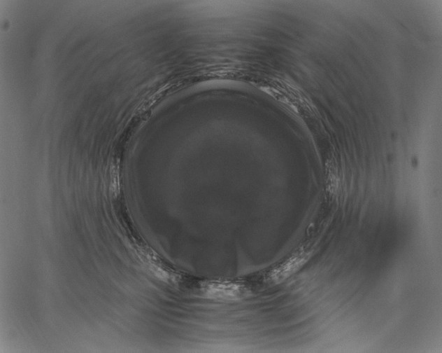 X0000067400471200604211703