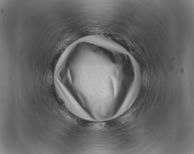X0000067400474200604211703