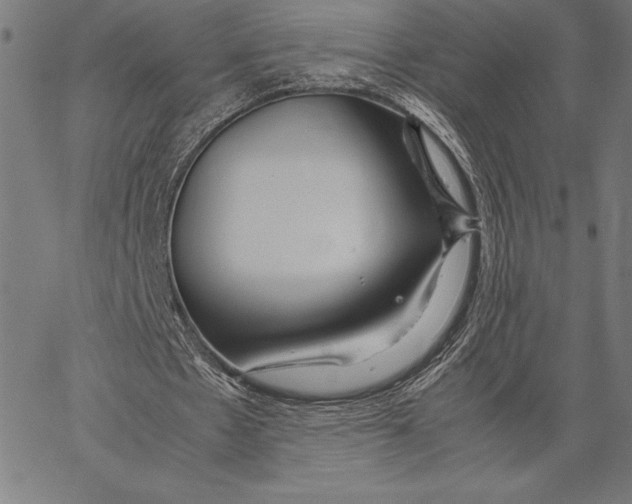 X0000067400481200604211703