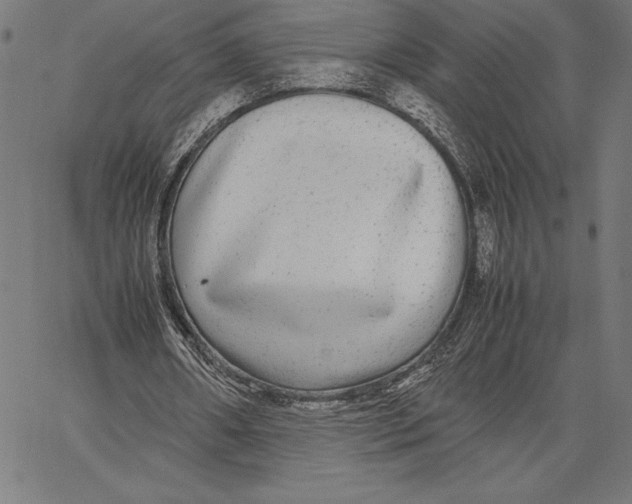 X0000067400482200604211703