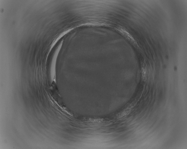 X0000067400484200604211703
