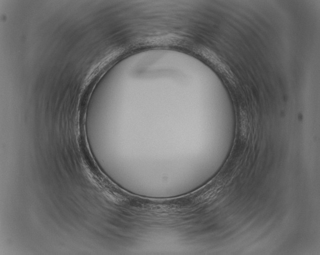 X0000067400486200604211703