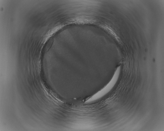 X0000067400488200604211703