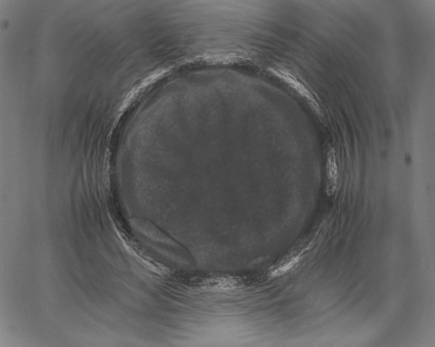 X0000067400492200604211702