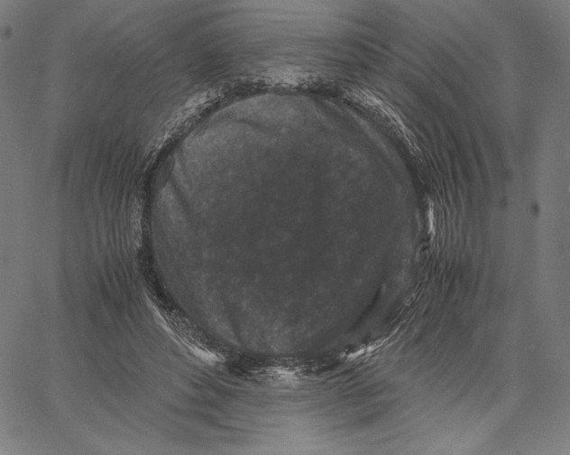 X0000067400496200604211702