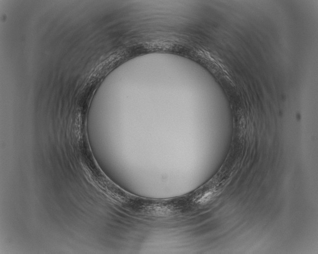 X0000067400498200604211702
