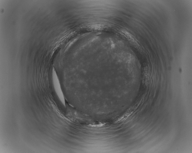 X0000067400500200604211702