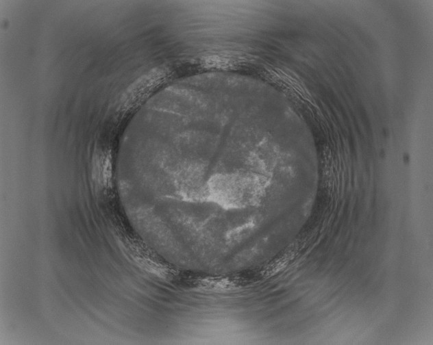 X0000067400502200604211702