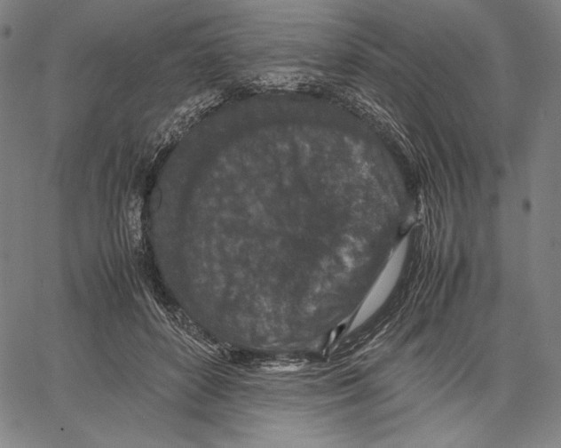 X0000067400504200604211702