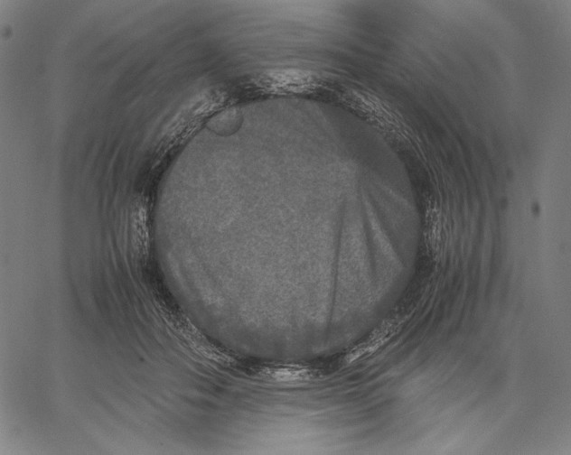 X0000067400506200604211702