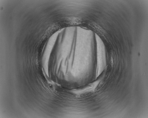 X0000067400512200604211702
