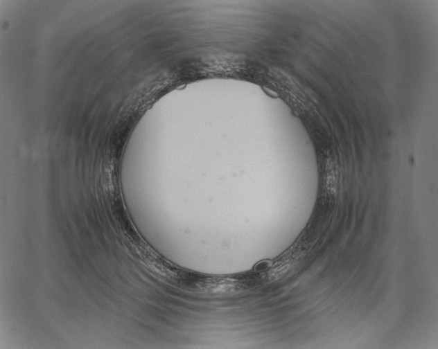 X0000067400514200604211702
