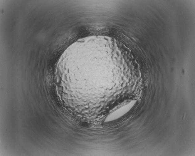 X0000067400515200604211702