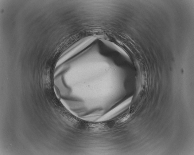 X0000067400516200604211702