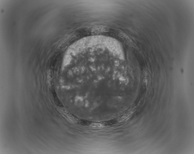 X0000067400519200604211702