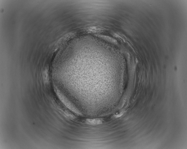 X0000067400520200604211702