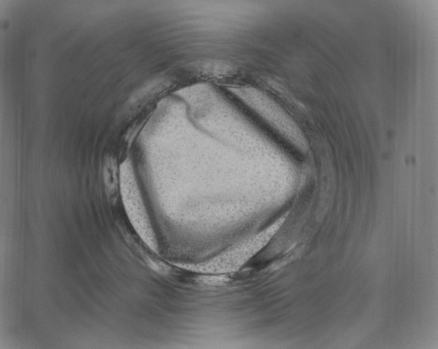 X0000067400528200604211702