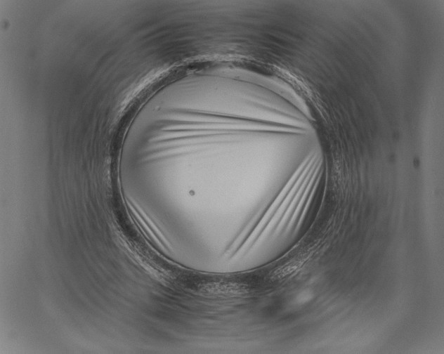 X0000067400535200604211701