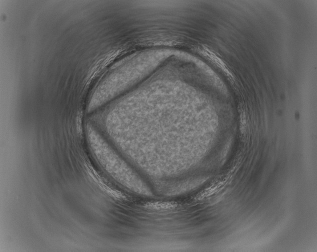 X0000067400537200604211701