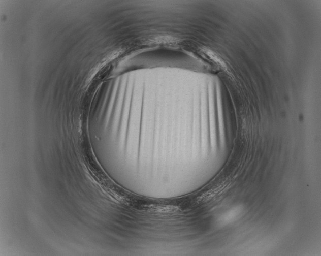X0000067400539200604211701