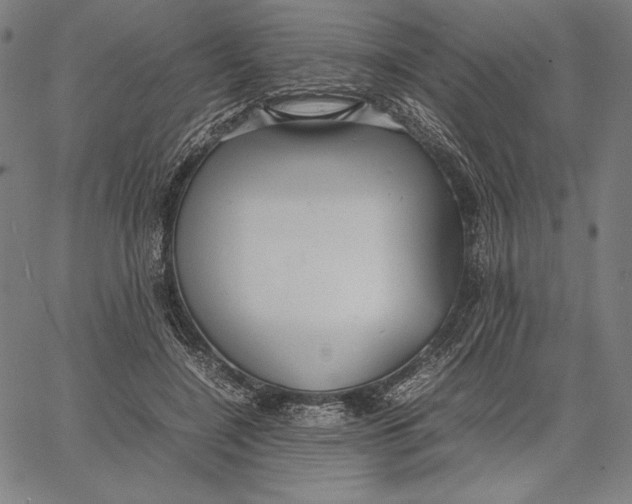 X0000067400548200604211701