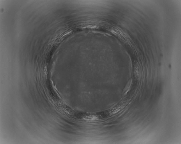 X0000067400551200604211701