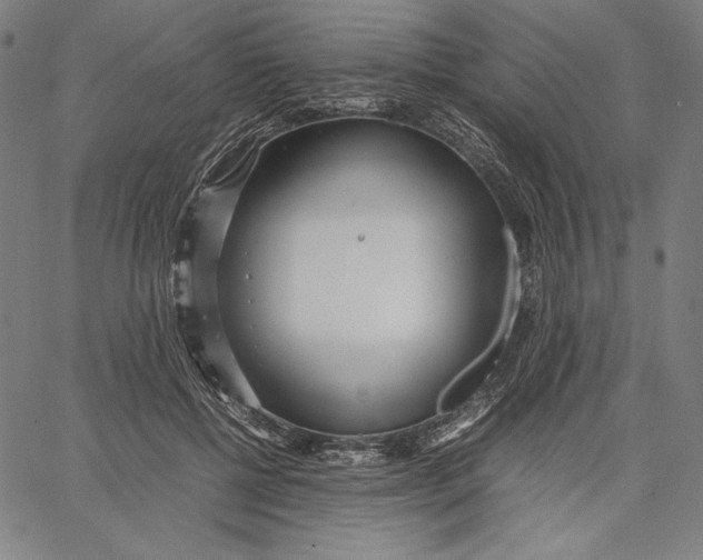 X0000067400552200604211701