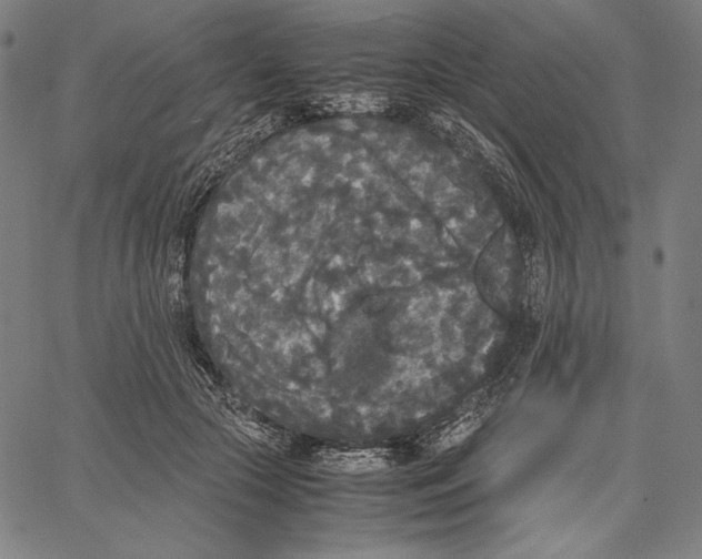 X0000067400553200604211701